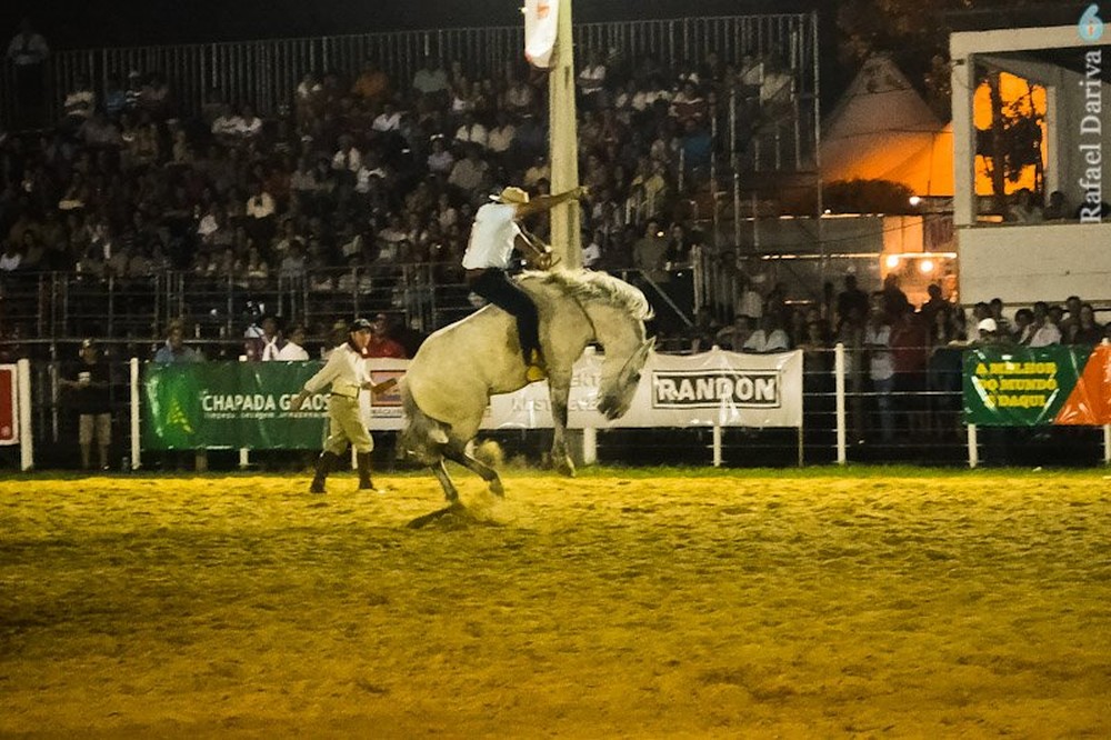 Maior rodeio tradicionalista do Brasil não terá gineteadas