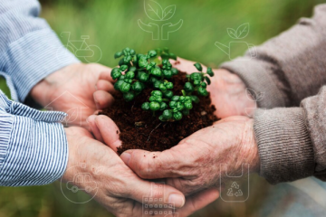 Culturas Alternativas no Agronegócio: Como Diversificar Produções para Aumentar a Rentabilidade