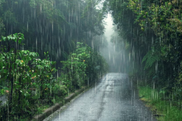 Sul do Brasil em Alerta de Tempestades com Ventos de Até 100 km/h