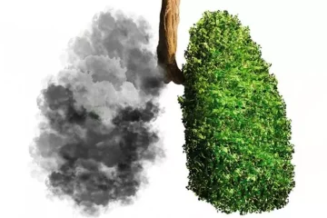 Keit Maciel da Gama ressalta a importância do meio ambiente para a saúde da população