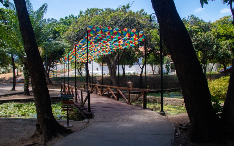Olinda Dá Gosto vira refúgio gastronômico no meio da folia