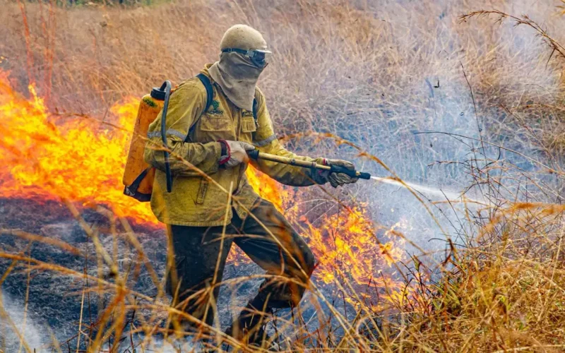Plano do governo para combater incêndios em 2026 é revelado