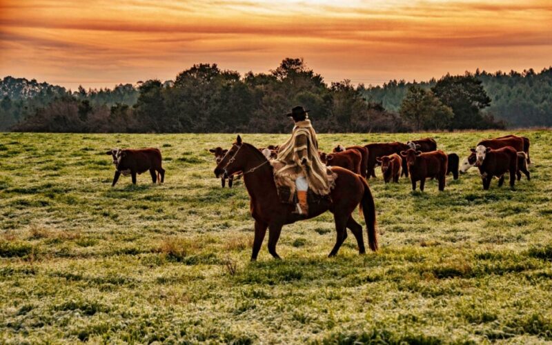 Temperaturas abaixo de zero retornam ao Rio Grande do Sul nesta quinta-feira (21)