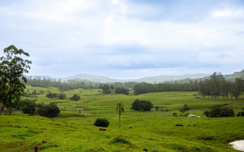 Temperaturas abaixo de zero marcam o dia em diversas regiões do Rio Grande do Sul nesta quarta-feira (20)