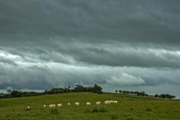 Tempestade se aproxima do RS nesta quinta, após uma manhã gelada e com geadas.