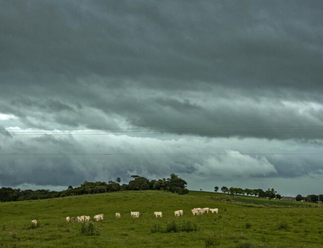 Tempestade se aproxima do RS nesta quinta, após uma manhã gelada e com geadas.