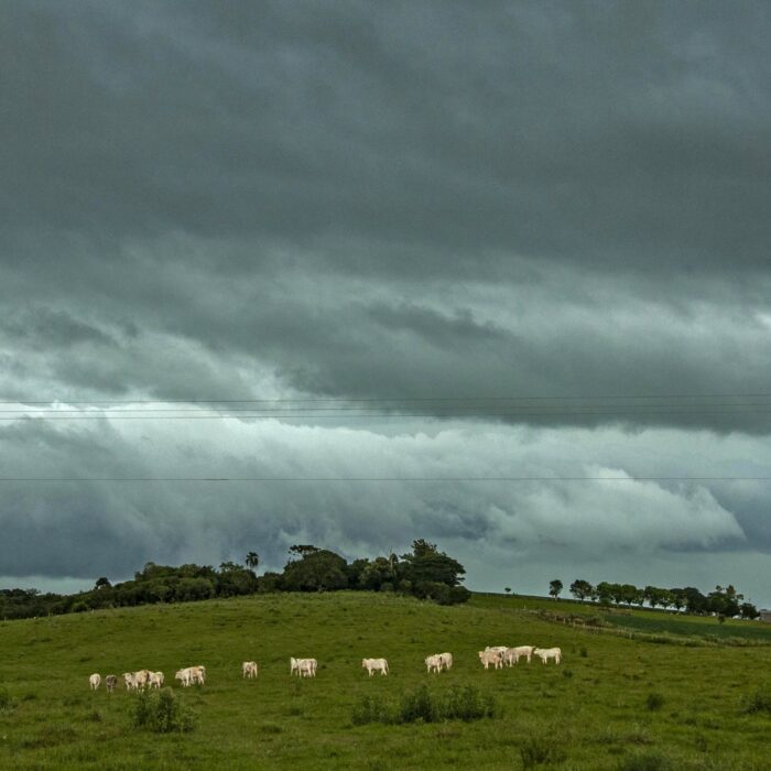 Tempestade se aproxima do RS nesta quinta, após uma manhã gelada e com geadas.