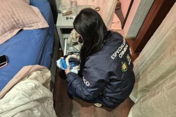 MP-RS investiga organização criminosa envolvida em fraudes de licitações na coleta de resíduos no Rio Grande do Sul