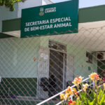 Nove acusados de eutanásia irregular de animais em Canoas são formalmente processados pela Justiça