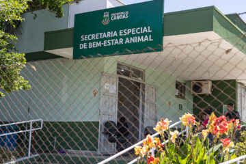 Nove acusados de eutanásia irregular de animais em Canoas são formalmente processados pela Justiça
