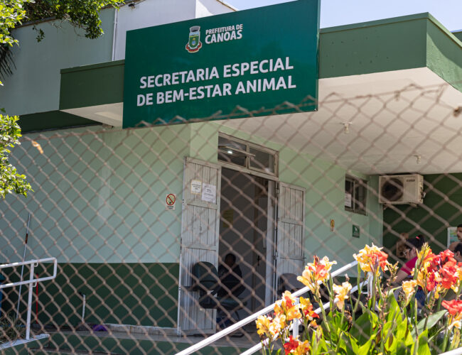 Nove acusados de eutanásia irregular de animais em Canoas são formalmente processados pela Justiça