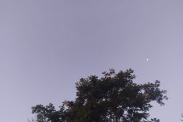 Rio Grande do Sul desfruta de clima firme antes da volta das chuvas no sábado (1º)
