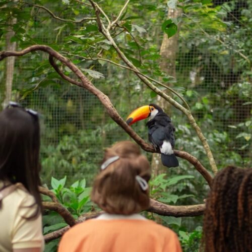 Julho começa em Porto Alegre com nova ligação direta para Foz do Iguaçu